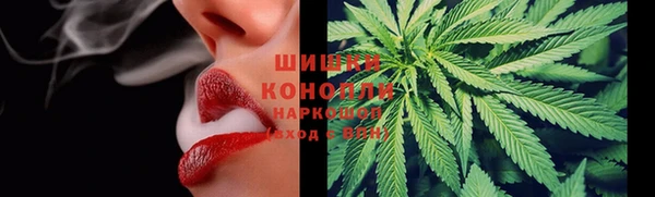 PSILOCYBIN Кодинск