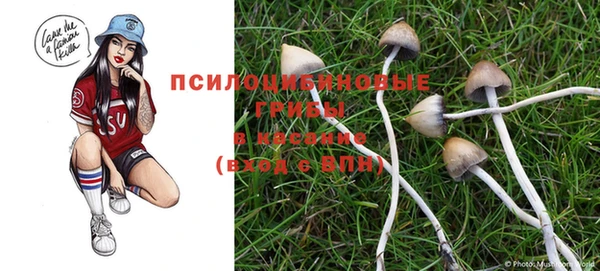 COCAINE Козельск