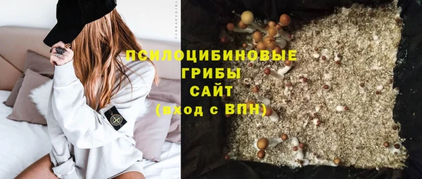PSILOCYBIN Кодинск