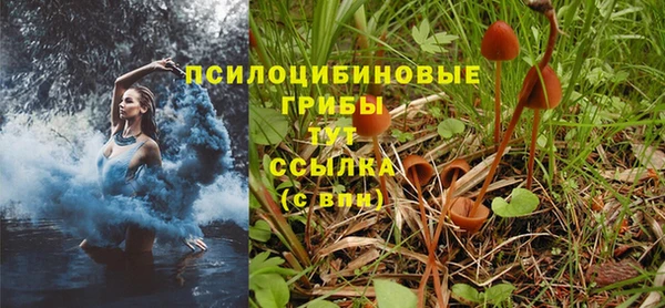 прущая мука Зуевка