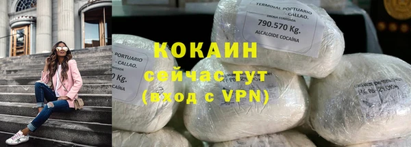 PSILOCYBIN Кодинск