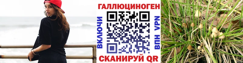 Галлюциногенные грибы MAGIC MUSHROOMS  Купить где  Дно 